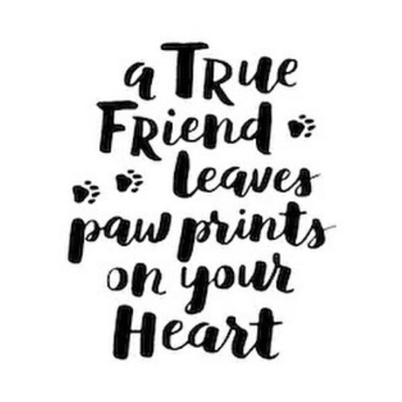 Rachel Zoe Sweater Plaid Skirted Winter Dog Outfit Red/Back Size XS - Picture 3 of 14